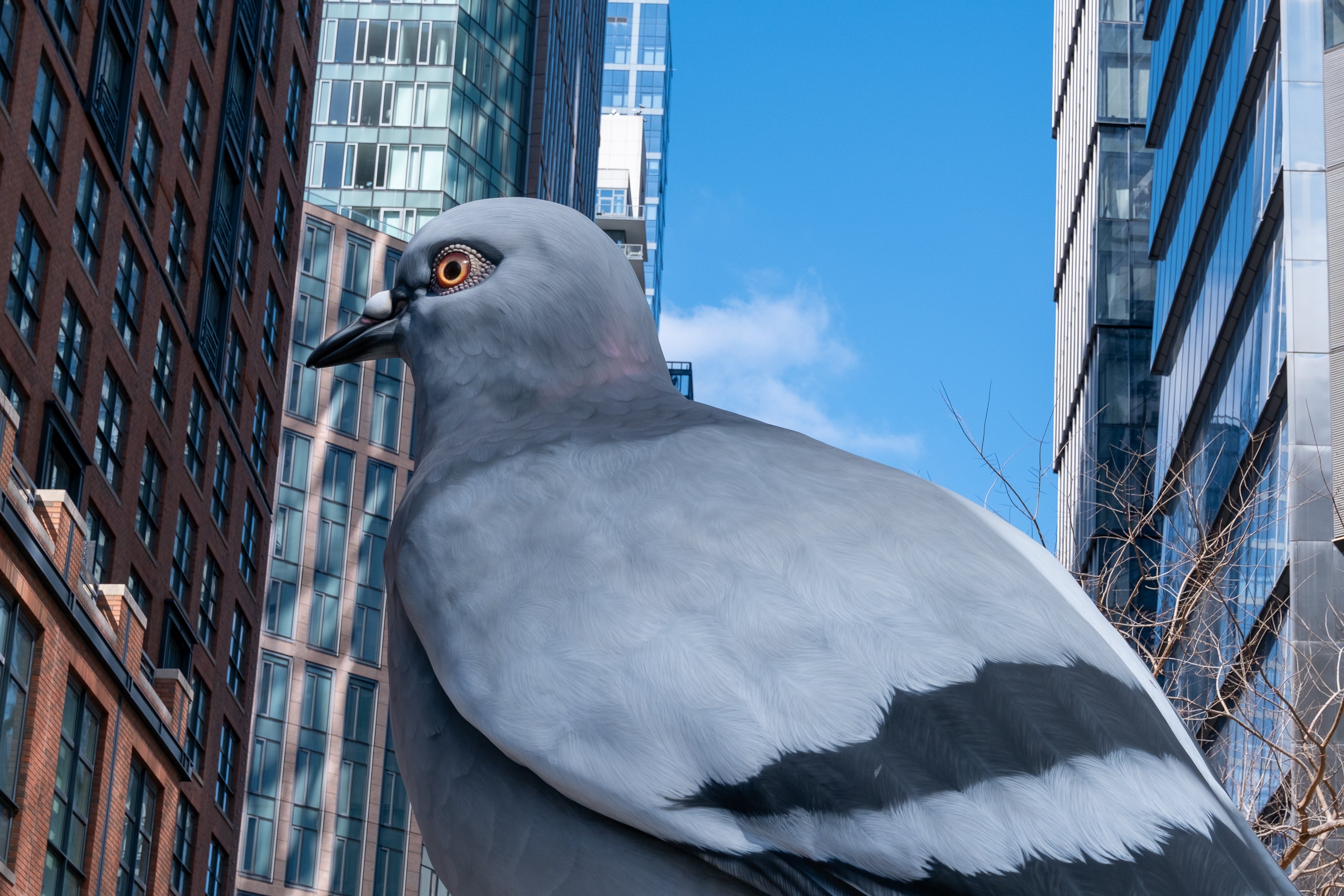Dinosaur, a 21-foot tall pigeon statue, against the high-rises of midtown.