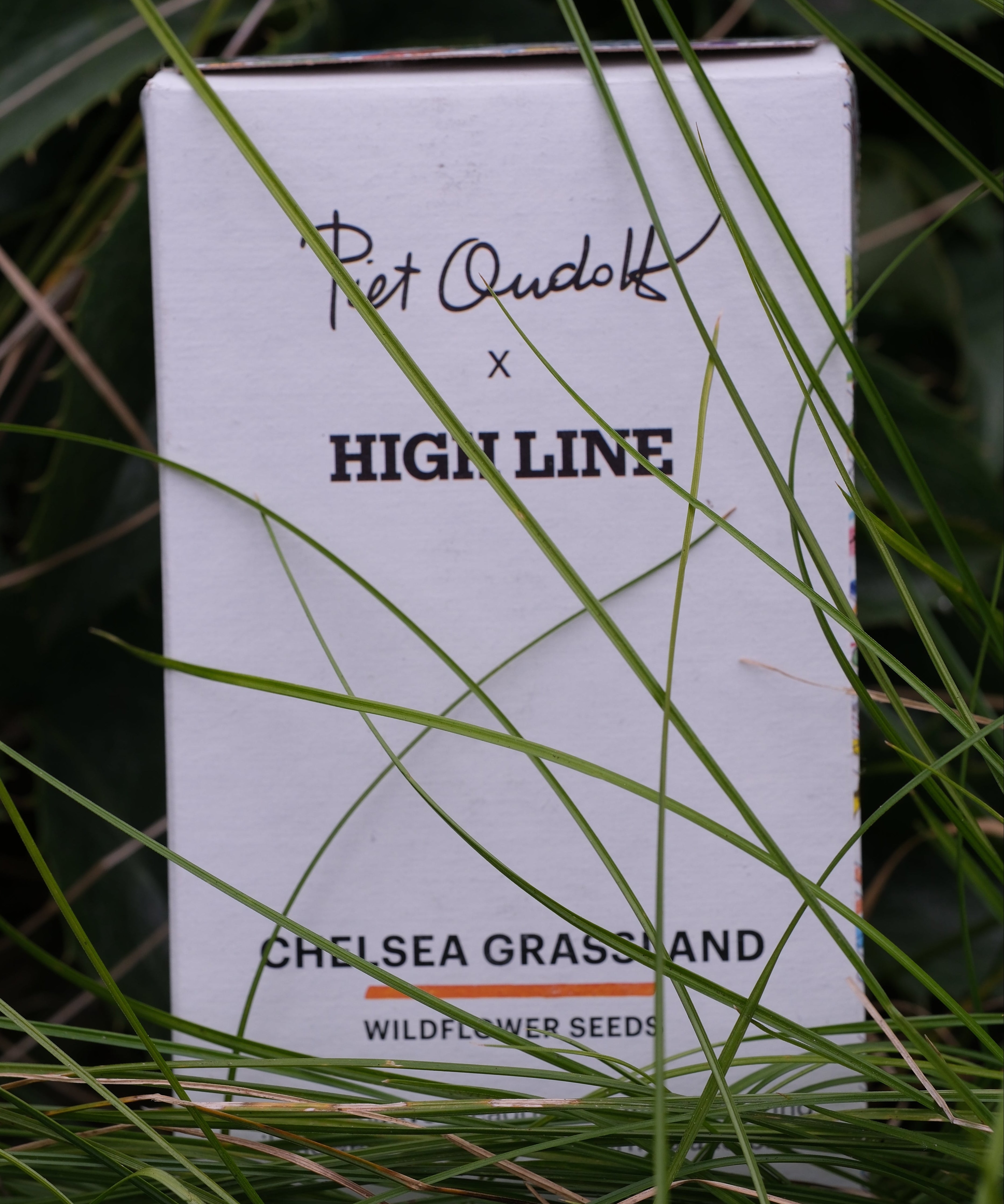 Chelsea Grassland Seed Box nestled in the grasses on the High Line.