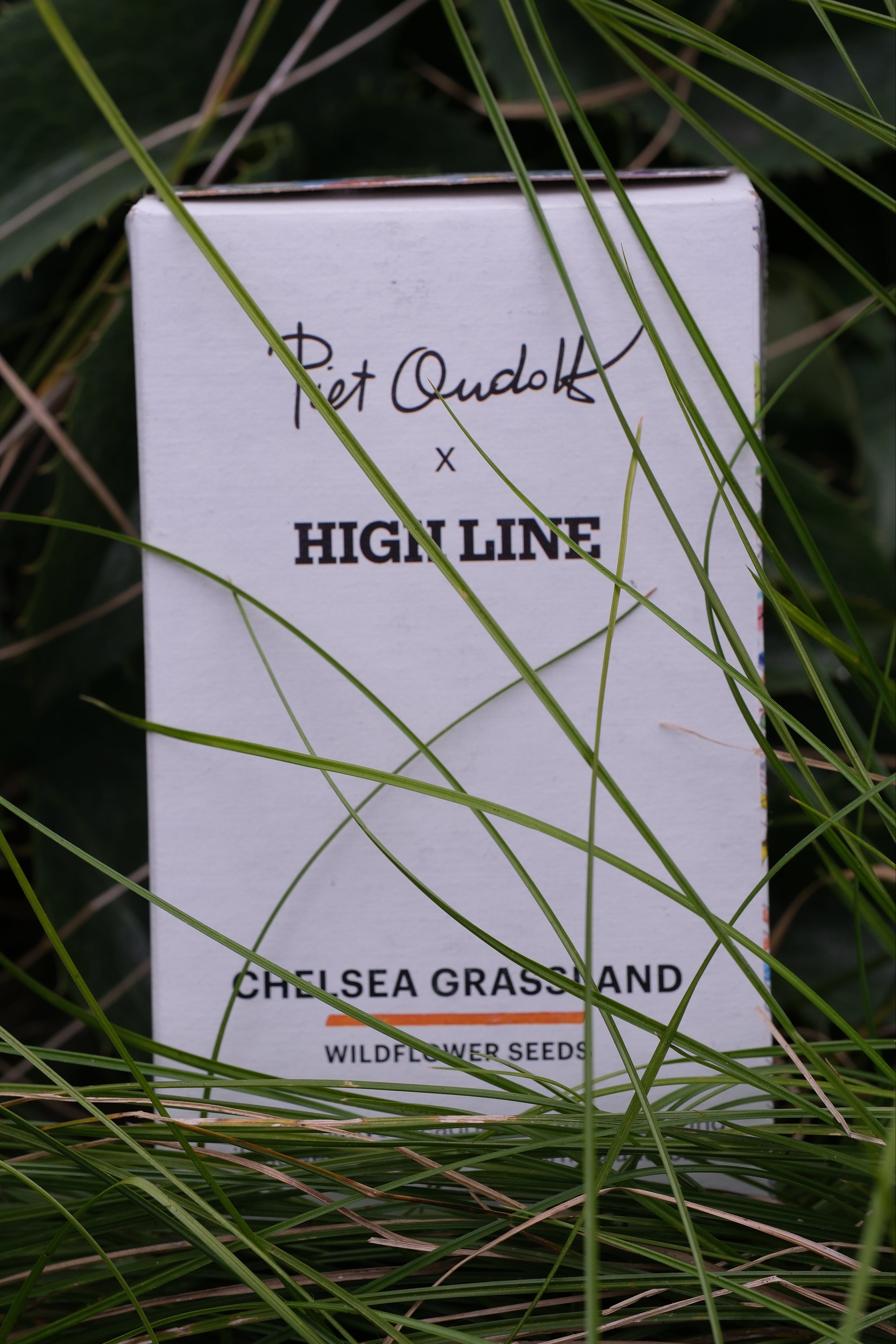 Chelsea Grassland Seed Box nestled in the grasses on the High Line.