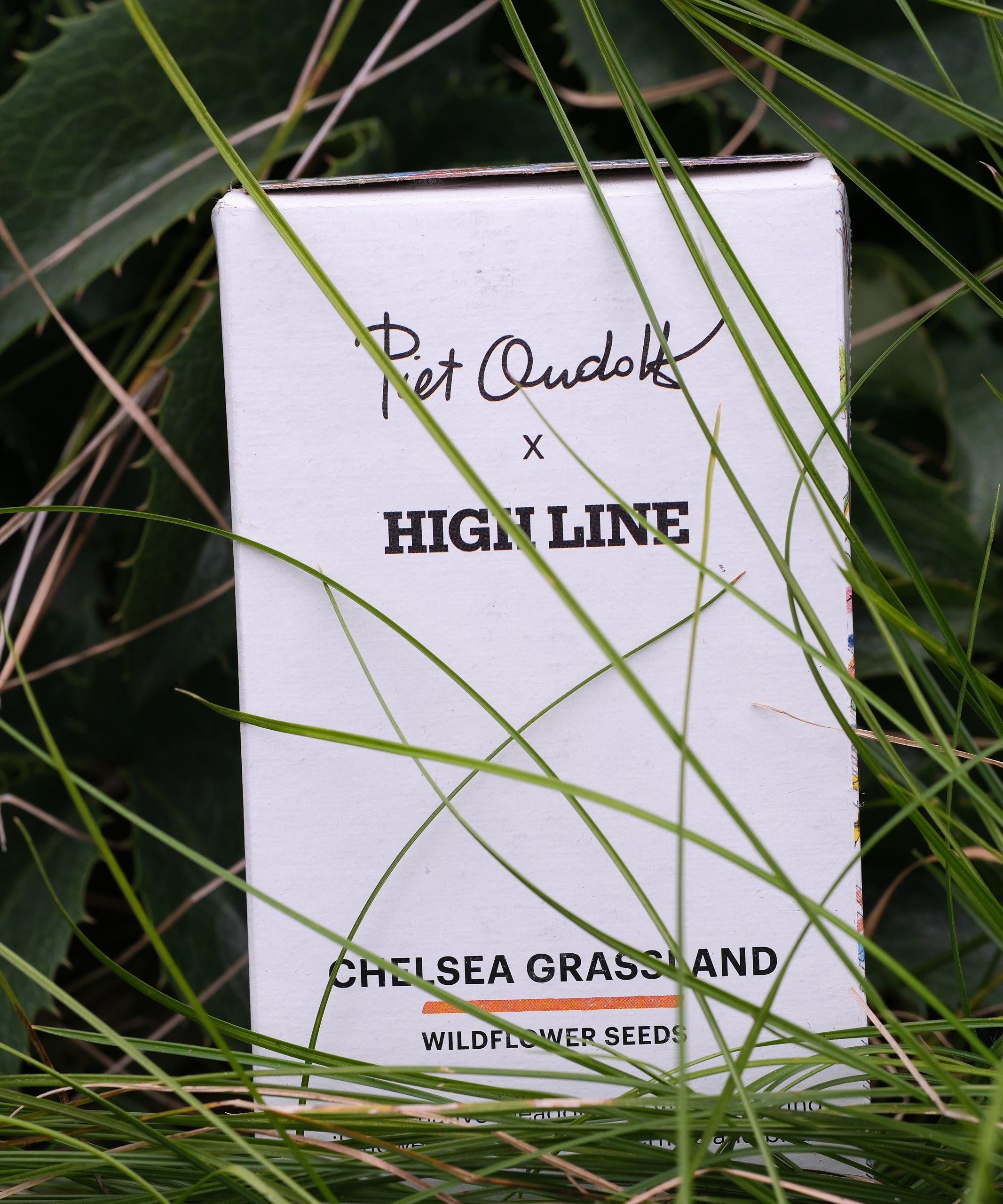 Chelsea Grassland Seed Box nestled in the grasses on the High Line.