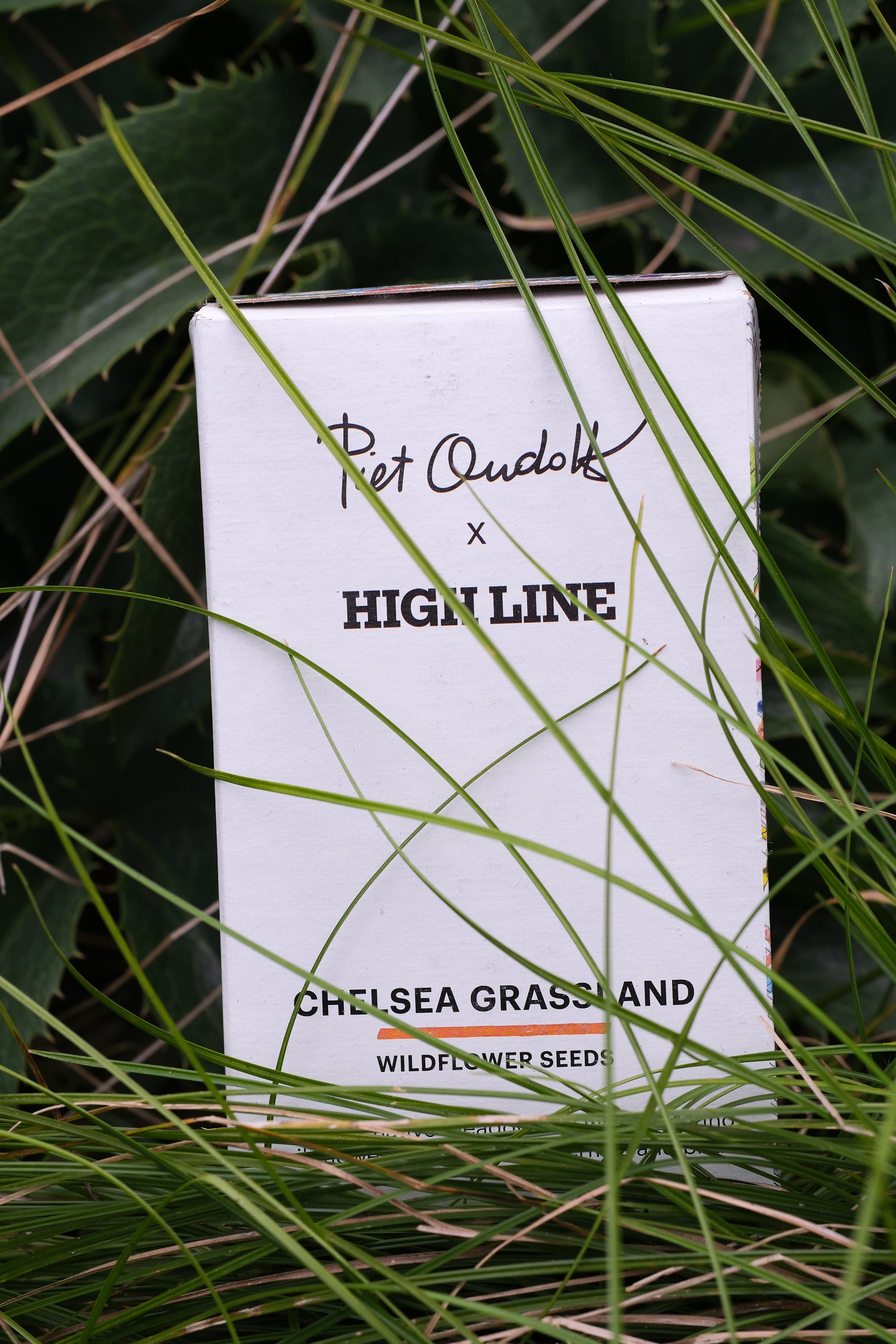 Chelsea Grassland Seed Box nestled in the grasses on the High Line.