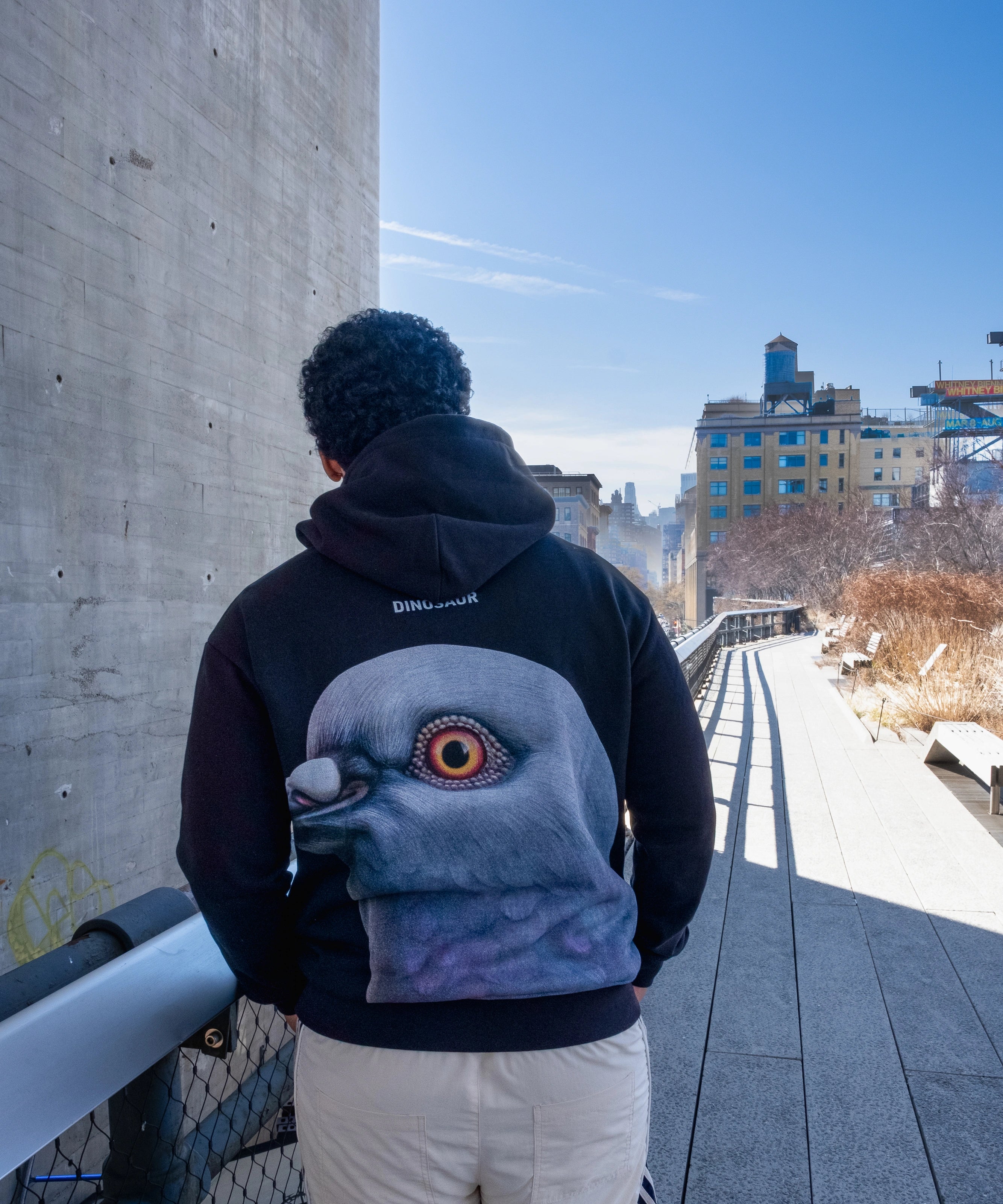 Man wearing the Dinosaur Hoodie, standing on the High Line looking south.