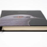 Shot of Dinosaur Notebook showing the cover at an angle and the bottom pages.