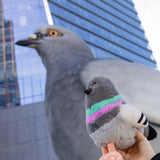 Pigeon Plush baby dinosaur with the Dinosaur statue.
