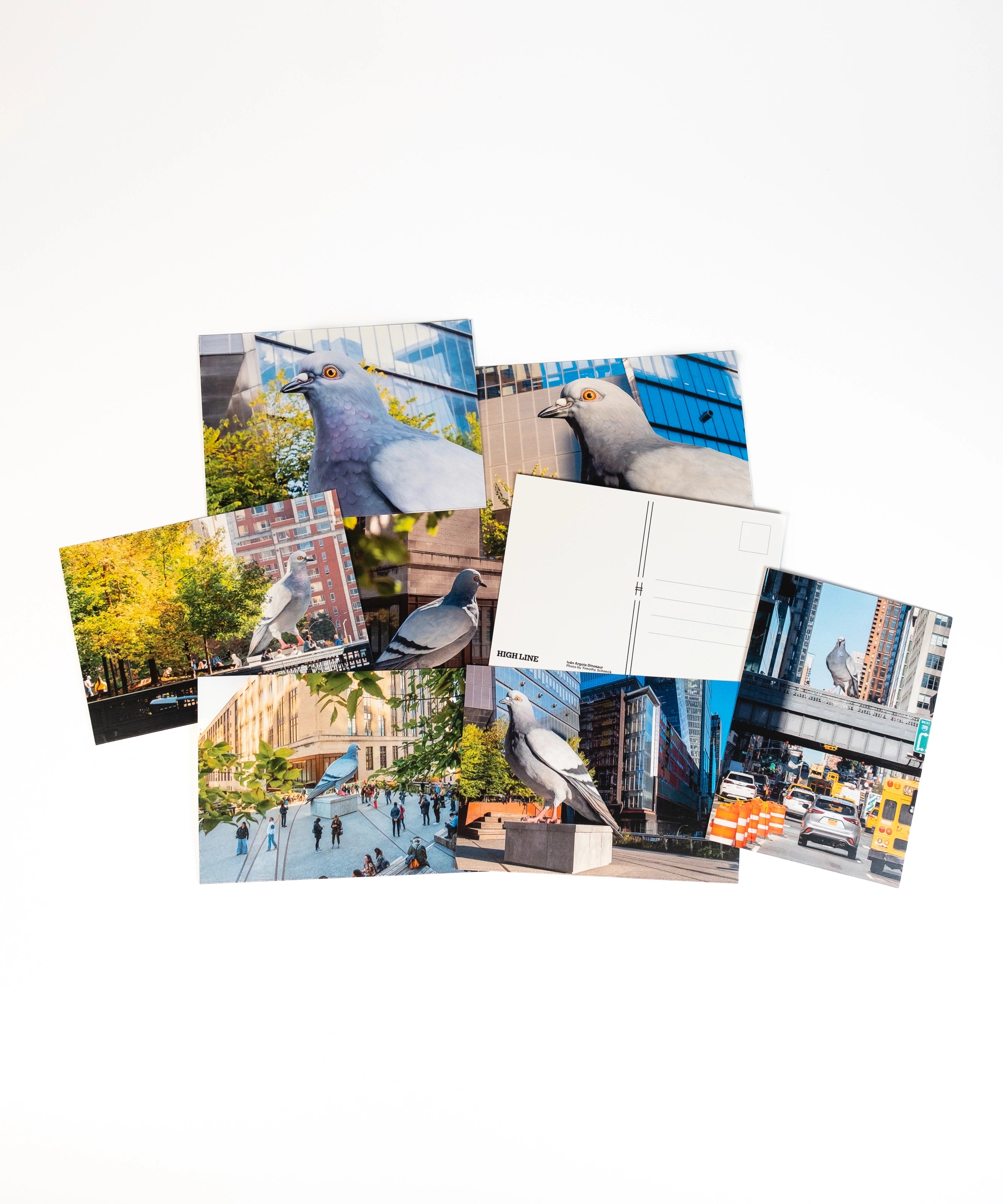 Dinosaur Postcard Set—8 postcards scattered, each with their own shot of the iconic big pigeon.