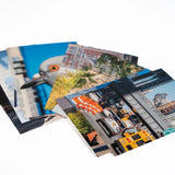 Dinosaur Postcard Set—8 postcards fanned out, each with their own shot of the iconic big pigeon.