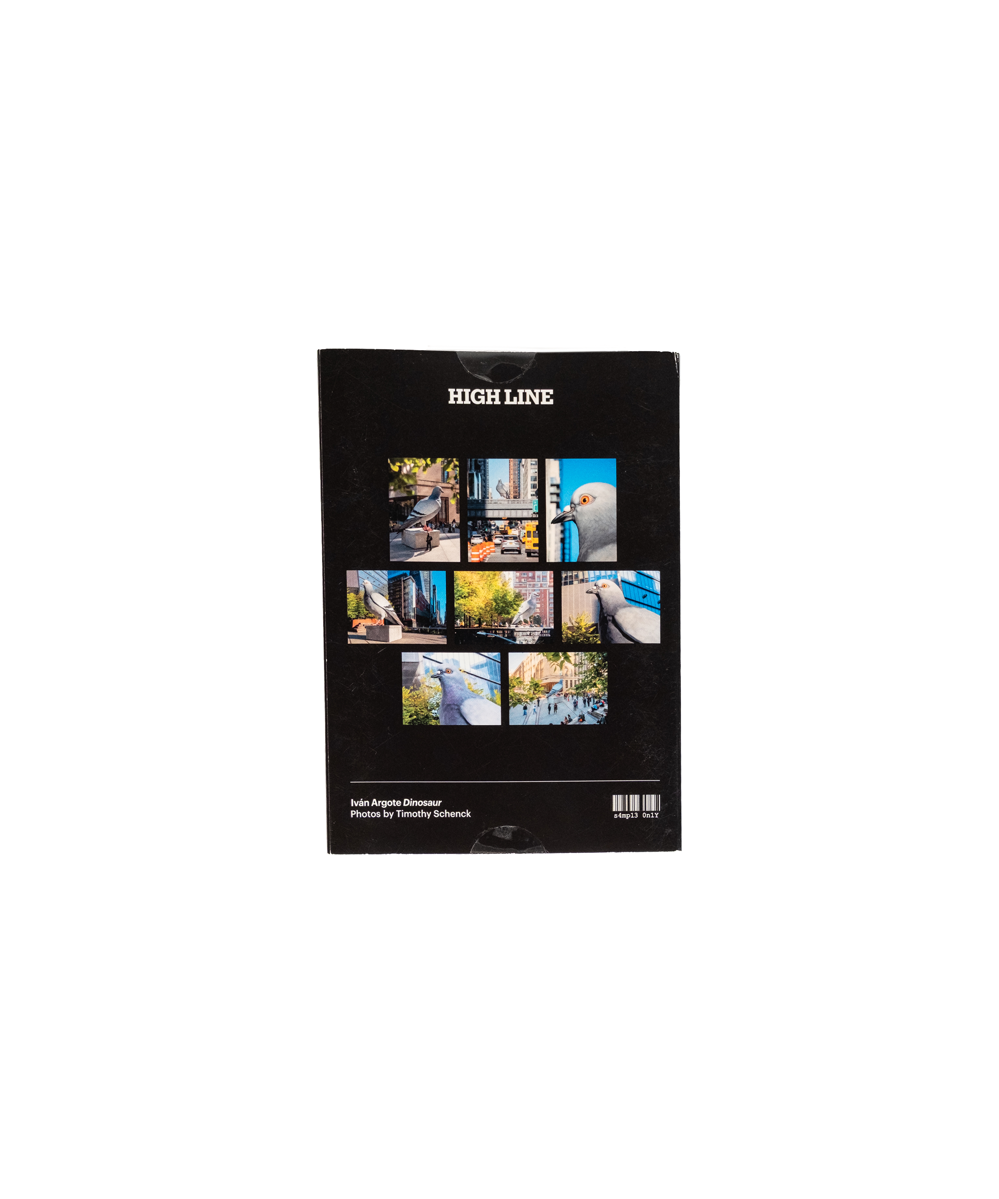 Slide image