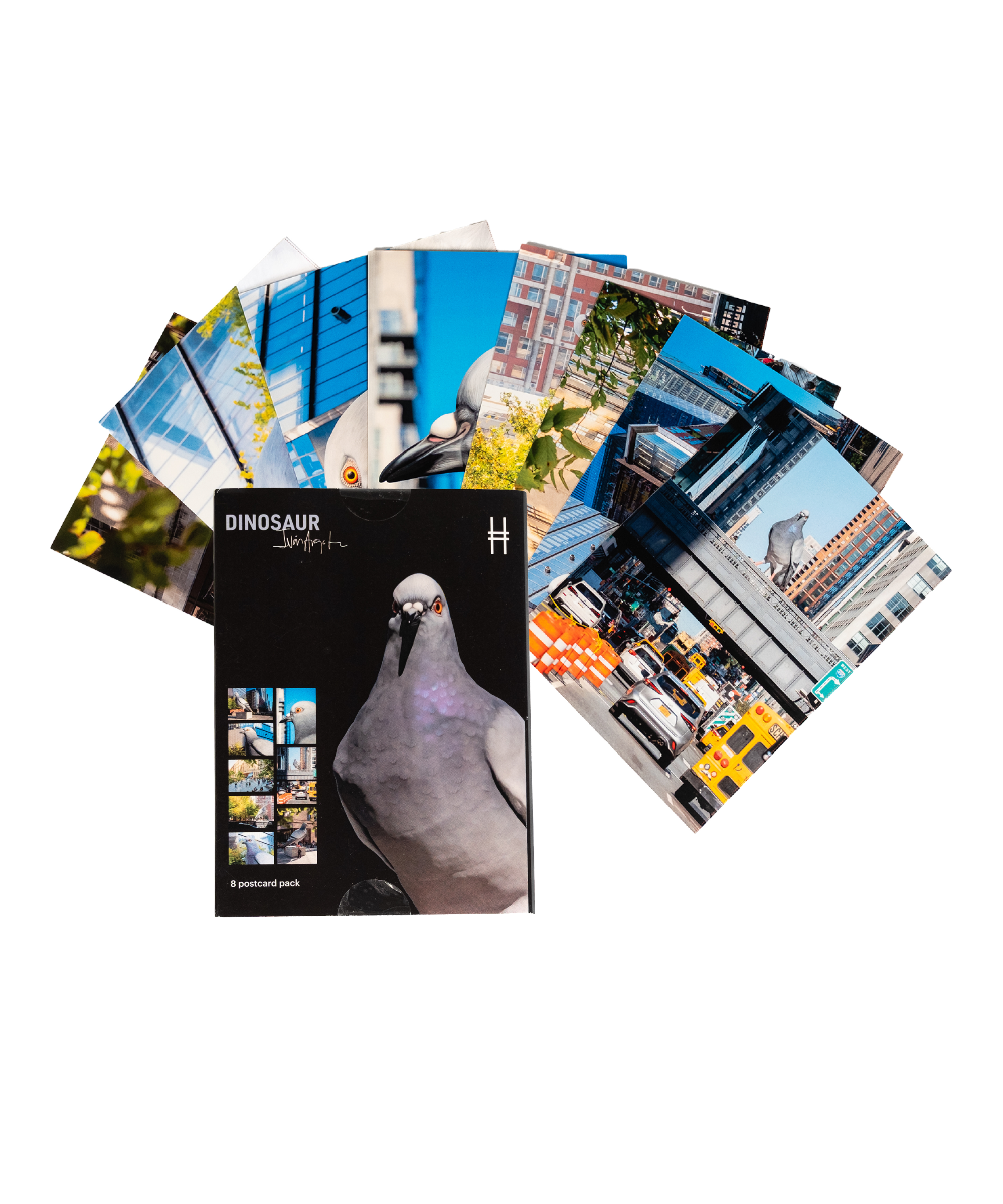 Dinosaur Postcard Set—envelope shown with the 8 postcards fanned out behind, each with their own shot of the iconic big pigeon.