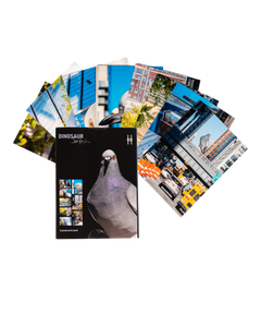 Dinosaur Postcard Set—envelope shown with the 8 postcards fanned out behind, each with their own shot of the iconic big pigeon.