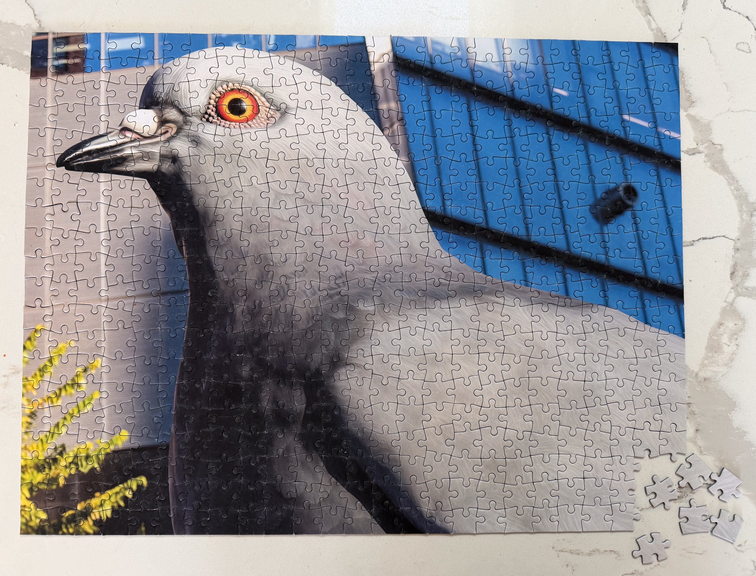 Almost completed Dinosaur Puzzle.