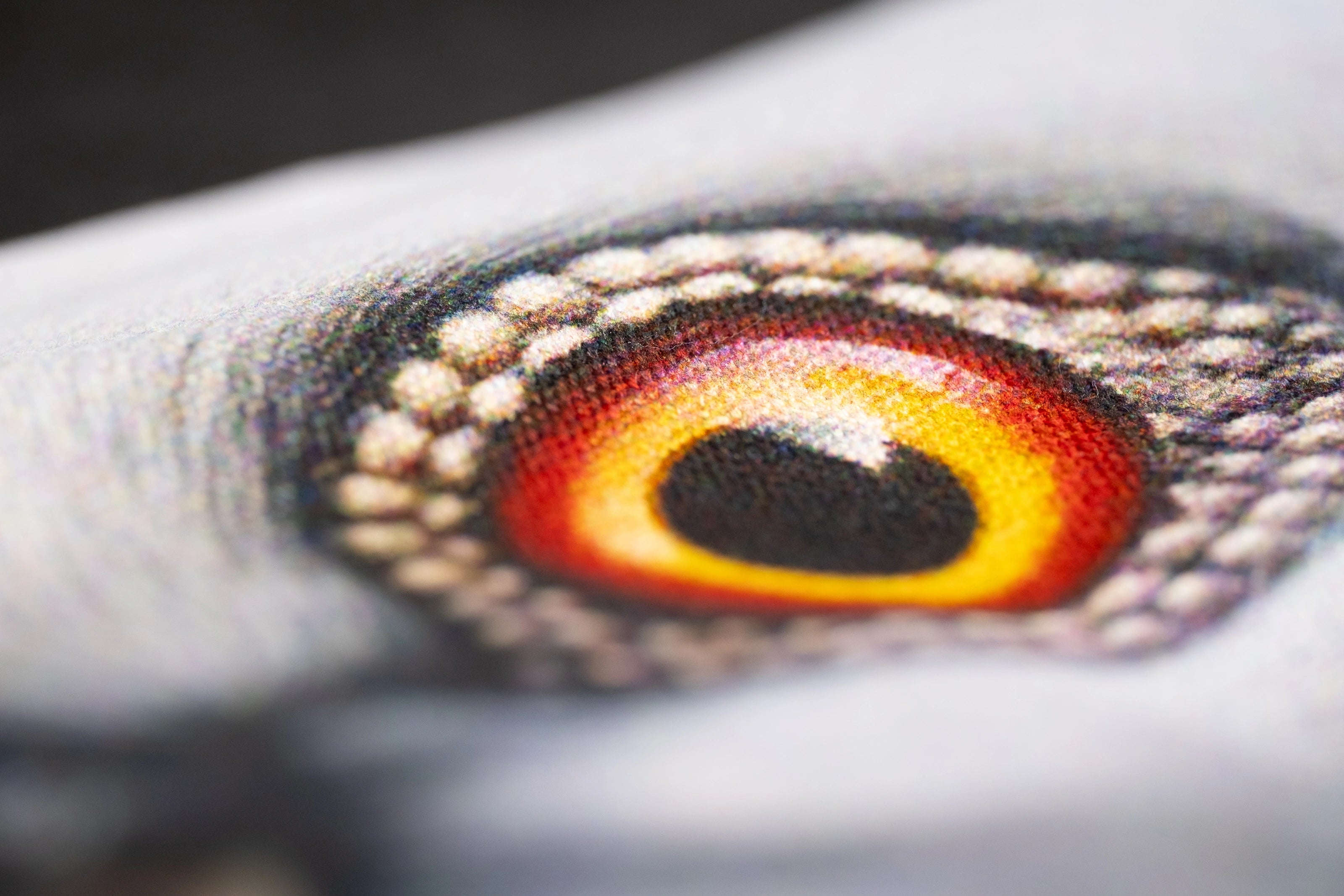 Closeup of the pigeon eye printed on the Dinosaur Tote.