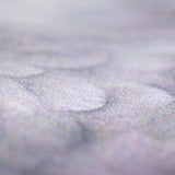 Closeup of the pigeon feathers printed on the Dinosaur Tote.