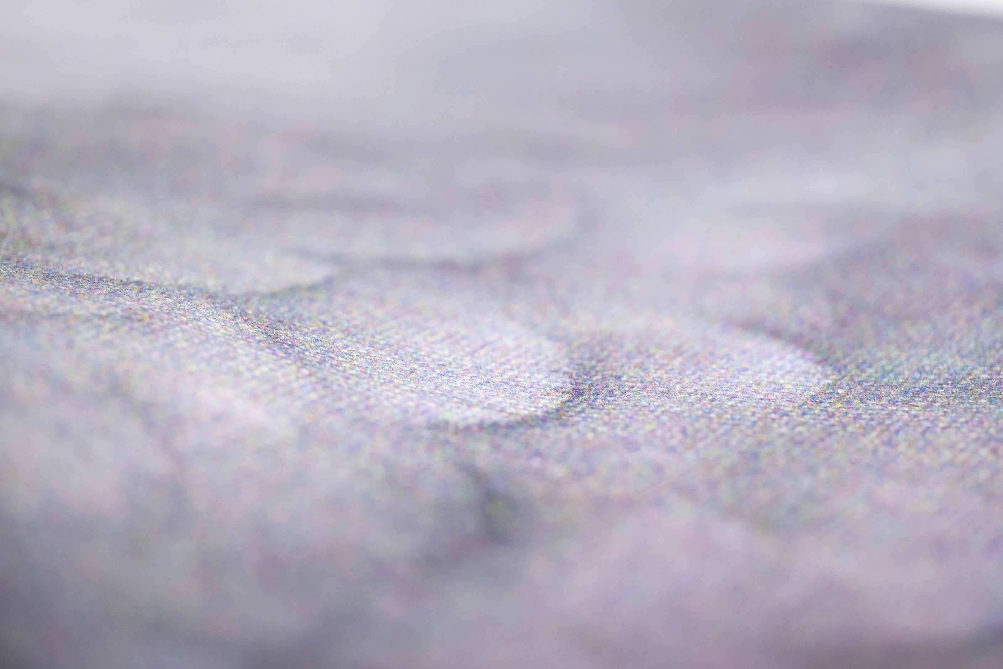 Closeup of the pigeon feathers printed on the Dinosaur Tote.