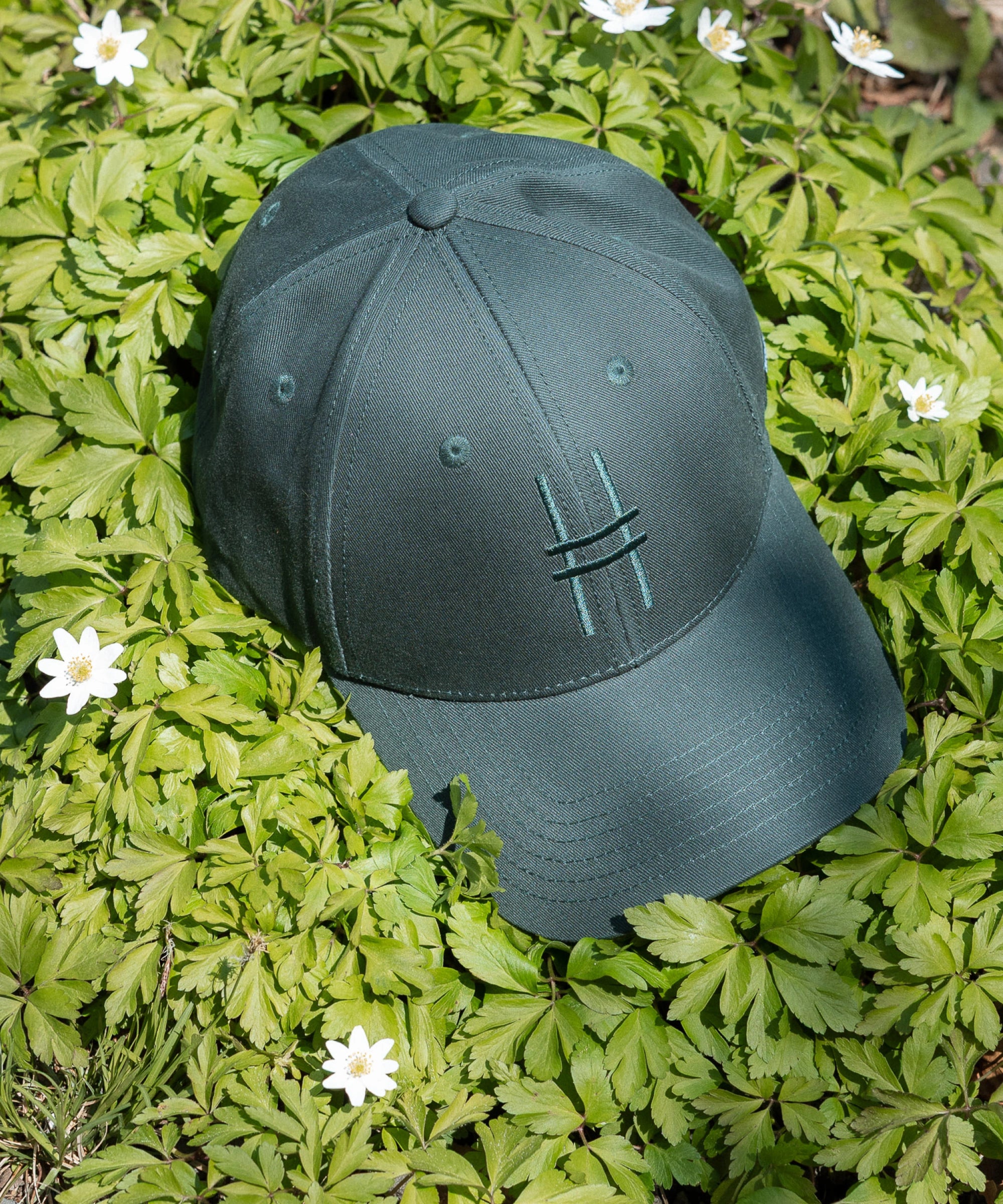 High Line Icon Cap in a bed of greenery dotted with flowers.