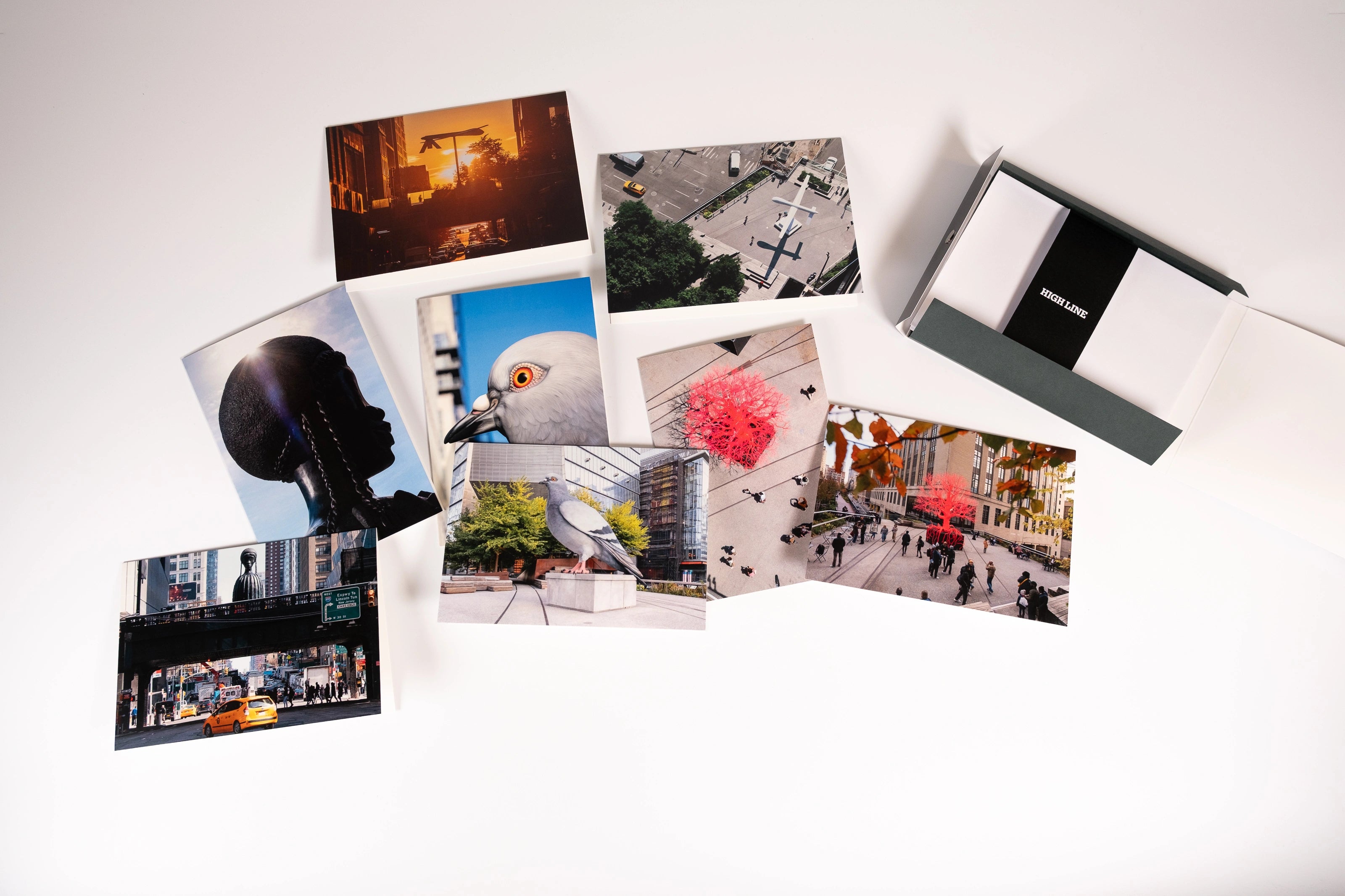 Each of the eight notecards in the HIgh Line Plinth set—each featuring a different photo, with two photos of each of the first four Plinth Commissions—scattered, next to the open box with envelopes still in the "High Line" band.
