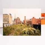 Greeting card from the Joel Sternfeld Notecard Set box, featuring one of Sternfeld's iconic photographs of the abandoned High Line, stands in front of the open notecard pack.