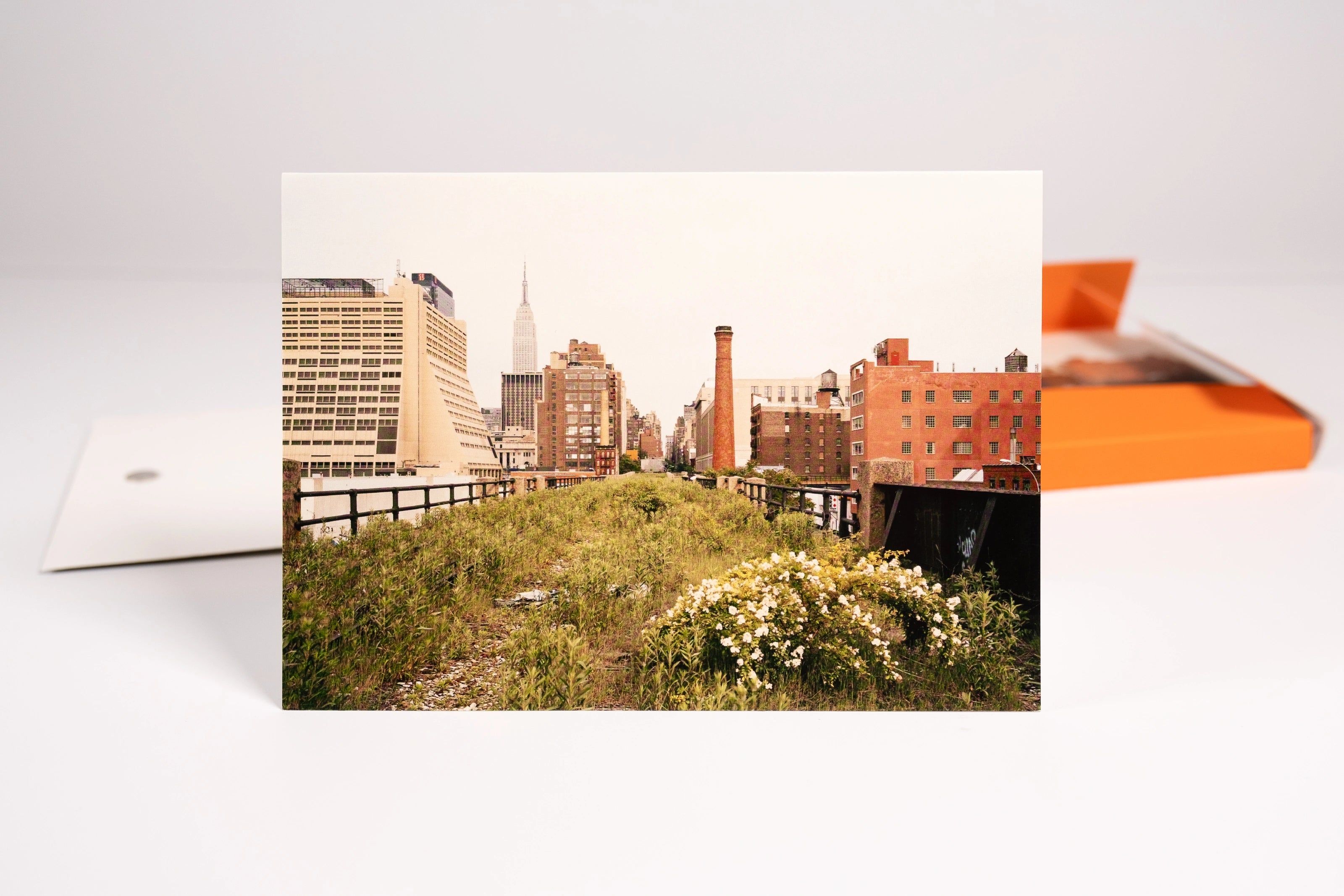 Greeting card from the Joel Sternfeld Notecard Set box, featuring one of Sternfeld's iconic photographs of the abandoned High Line, stands in front of the open notecard pack.