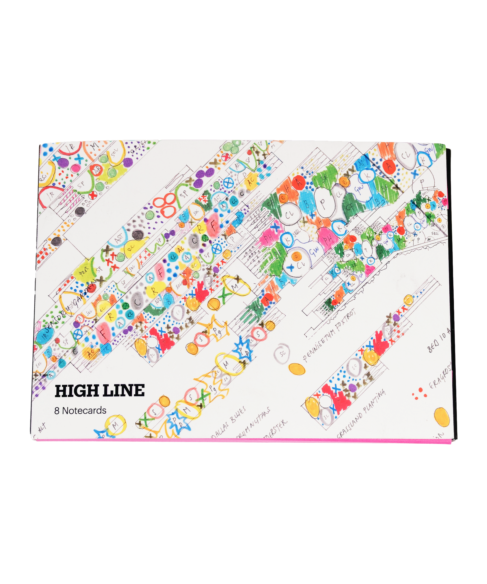 Front of the Piet Oudolf Notecard Set box, featuring High Line garden design illustrations by Piet Oudolf.