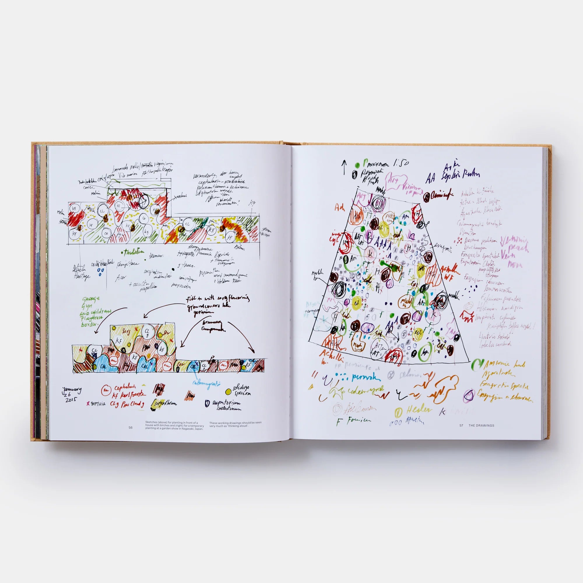 Inside spread of 'Piet Oudolf At Work' showing some of Piet's garden illustrations.