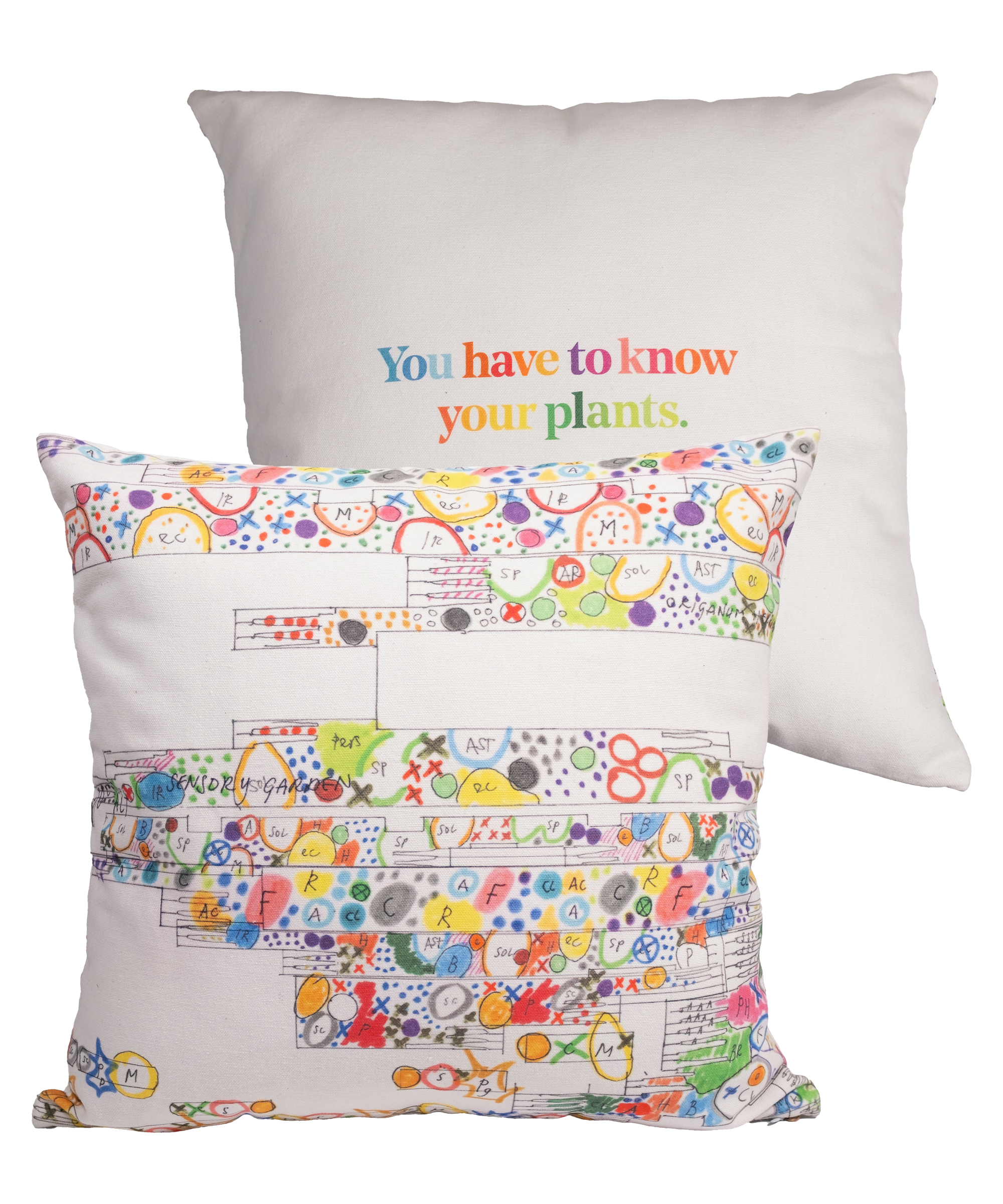 Front and back of Piet Oudolf Pillow Case shown on a pillow. The front features a composite of some of Piet Oudolf's illustrated garden plans for the High Line, and the back features the quote "You have to know your plants" in multicolor letters.