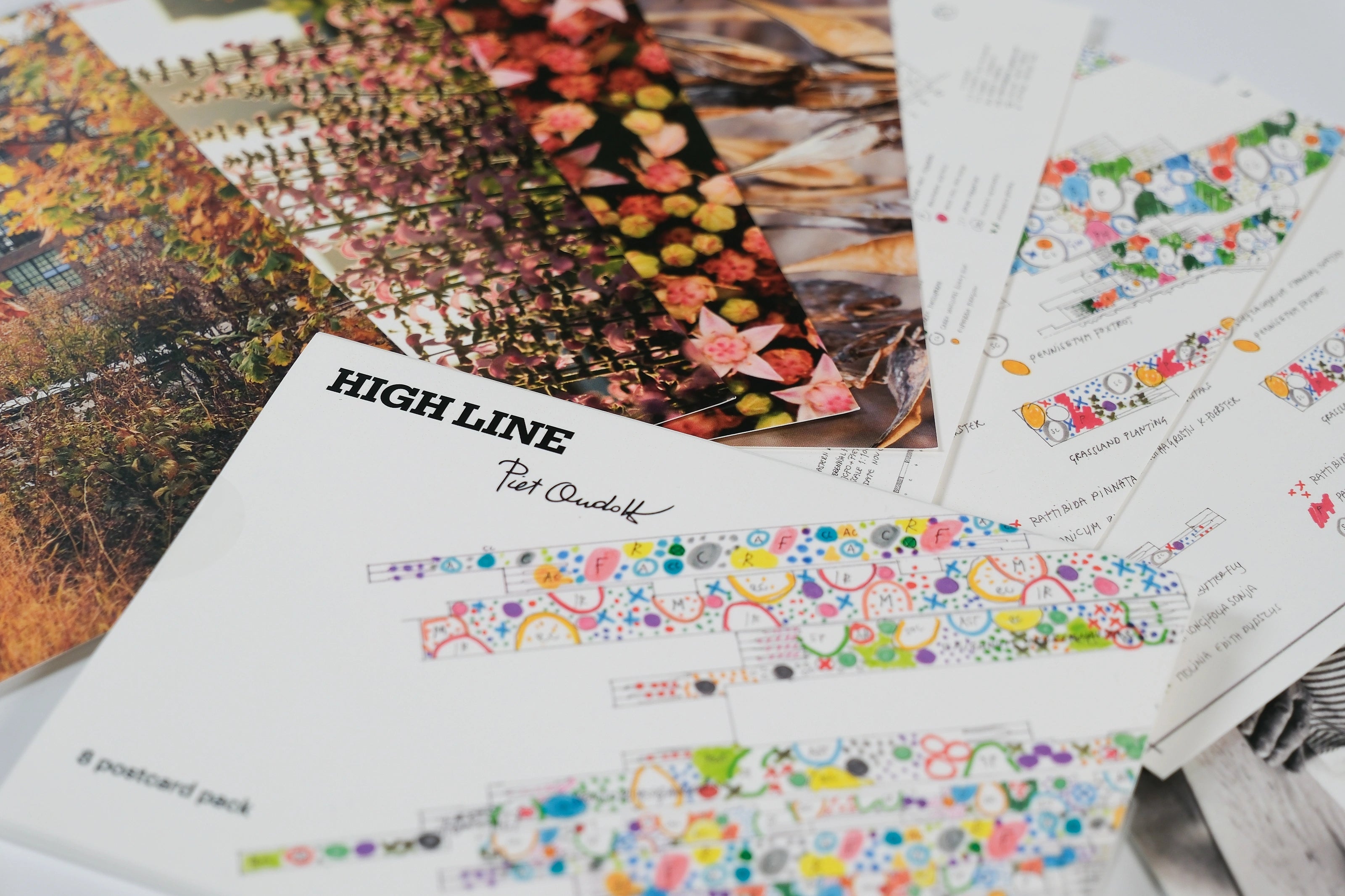 Piet Oudolf High Line Gardens Postcard Set