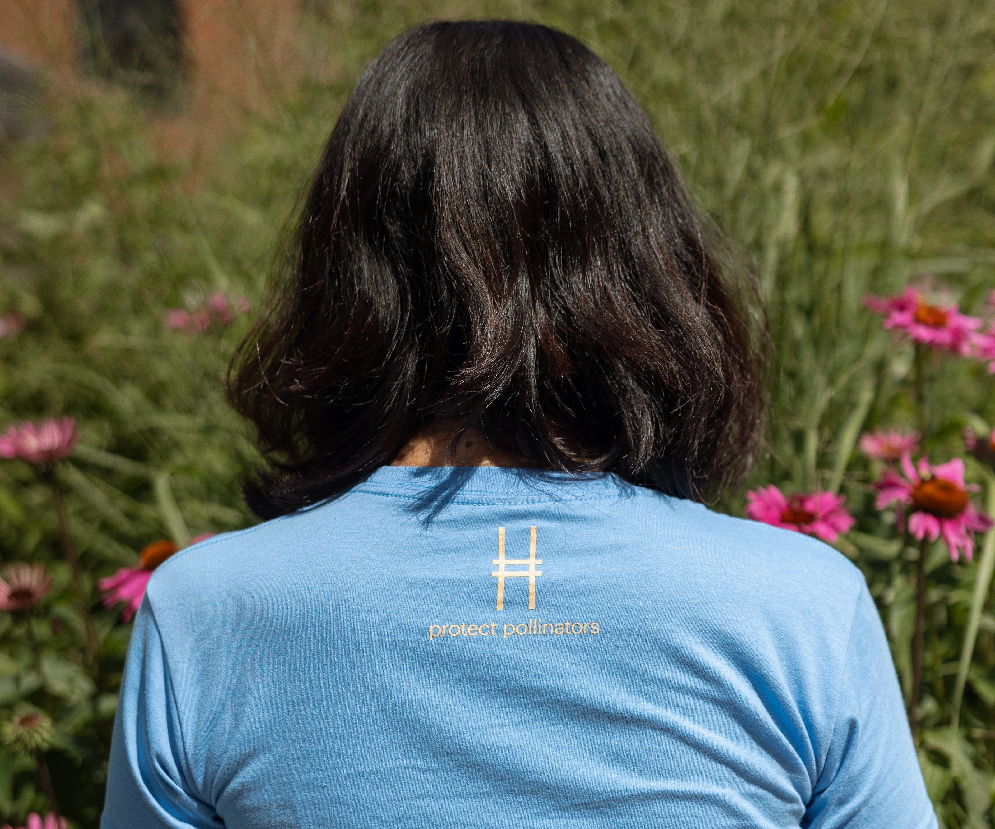 A person viewed from behind wearing a light blue t-shirt with 'protect pollinators' and the High Line icon printed on the back in yellow, amidst the Purple Coneflowers and grasses on the High Line.