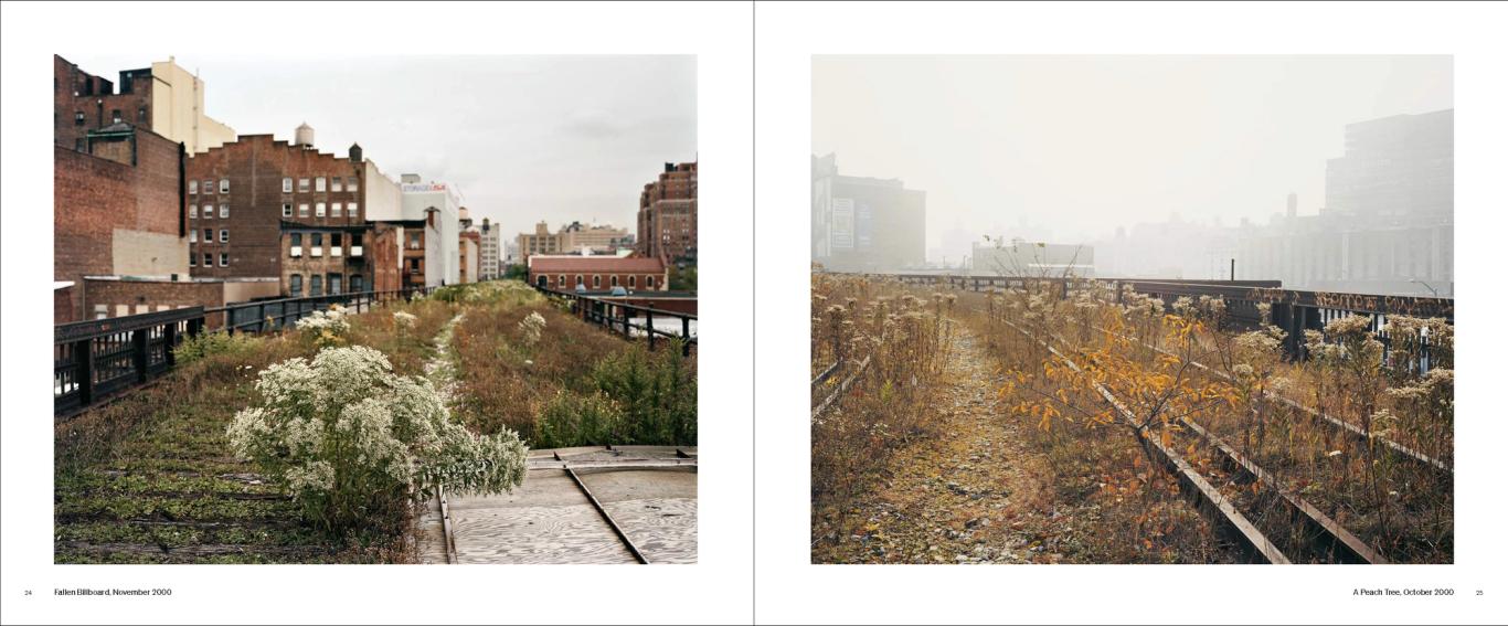 Walking the High Line