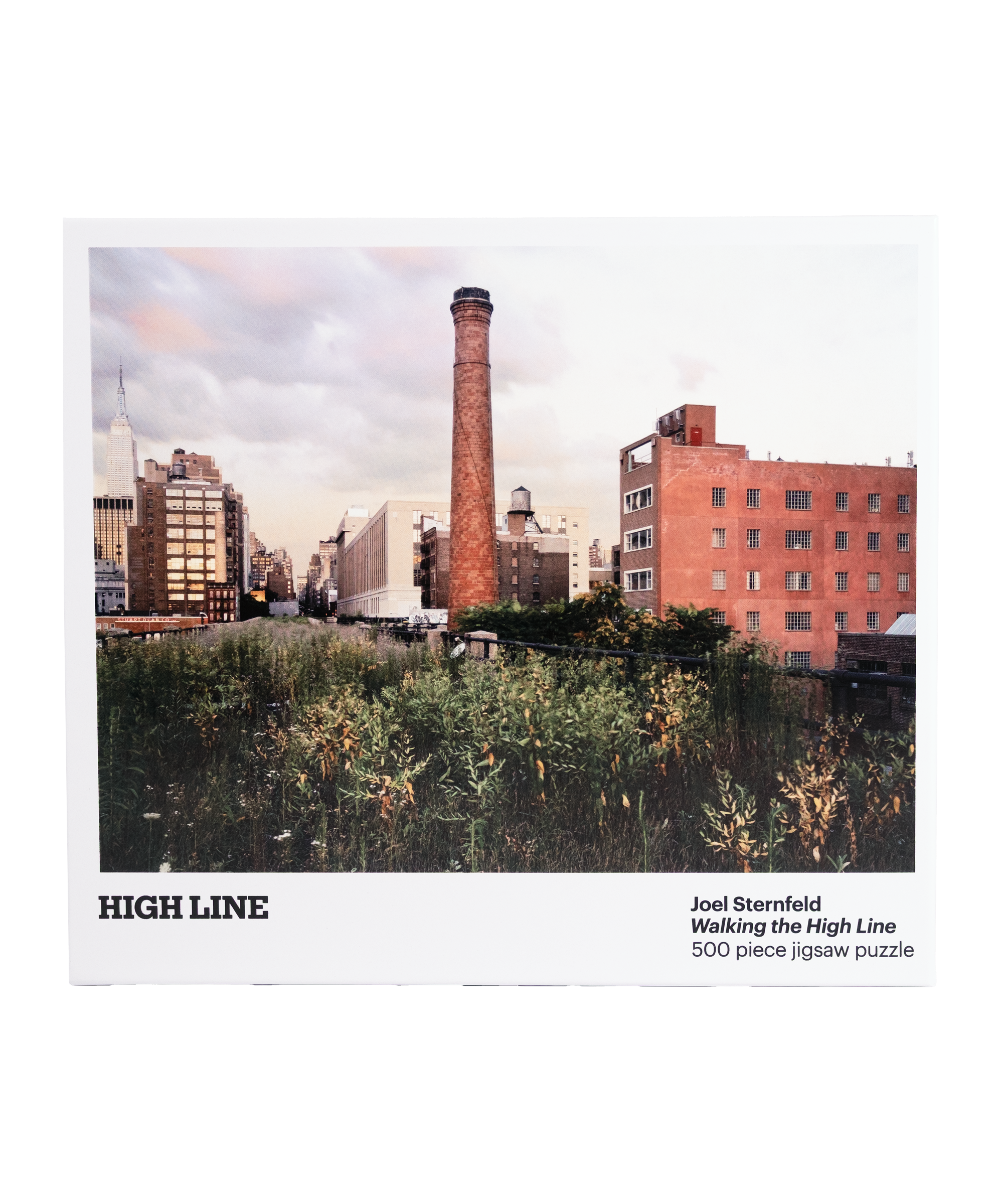 Joel Sternfeld Puzzle box viewed head on.