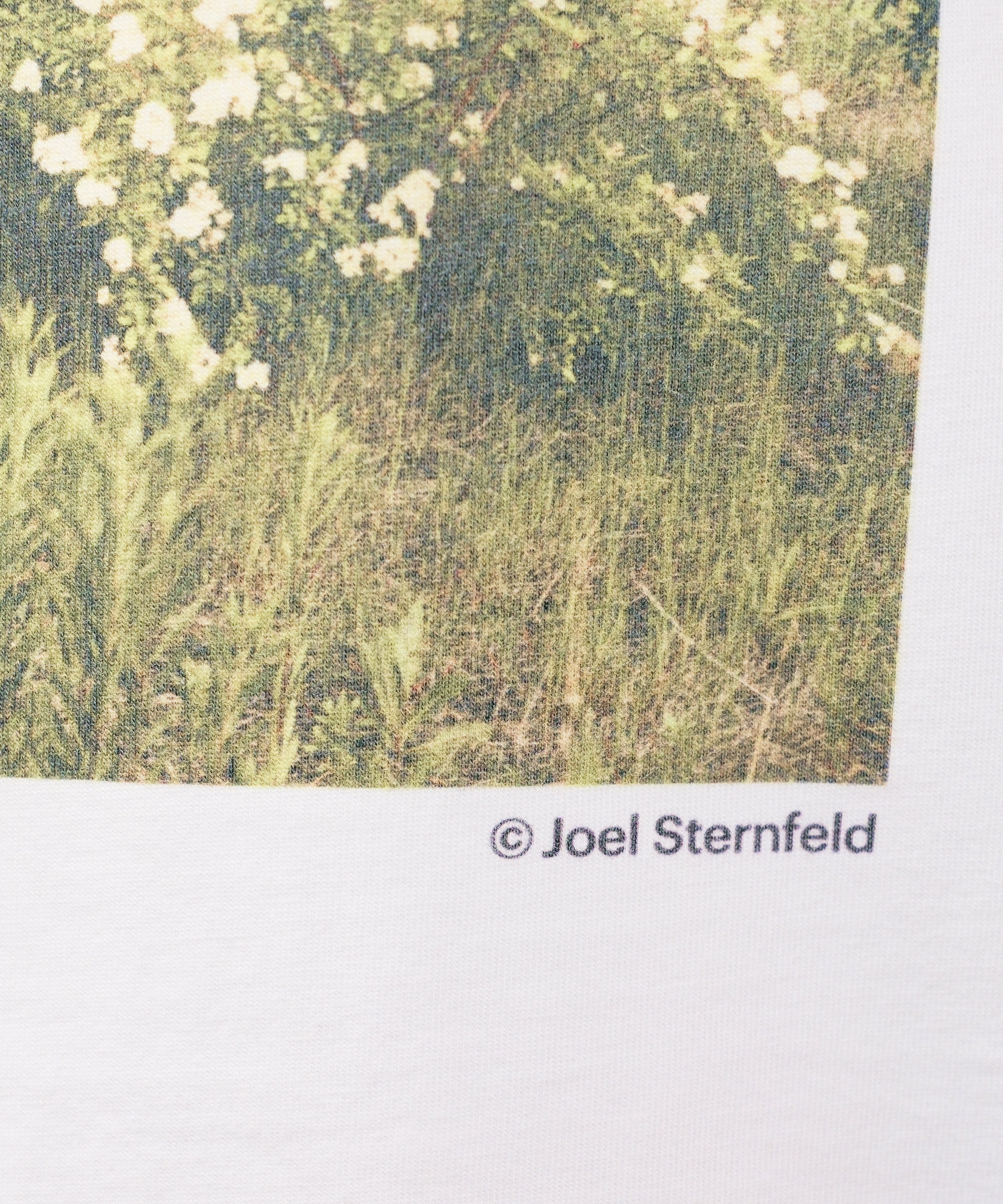 Closeup of "© Joel Sternfeld" under the corner of the image printed on the Wild in the 90s T-Shirt